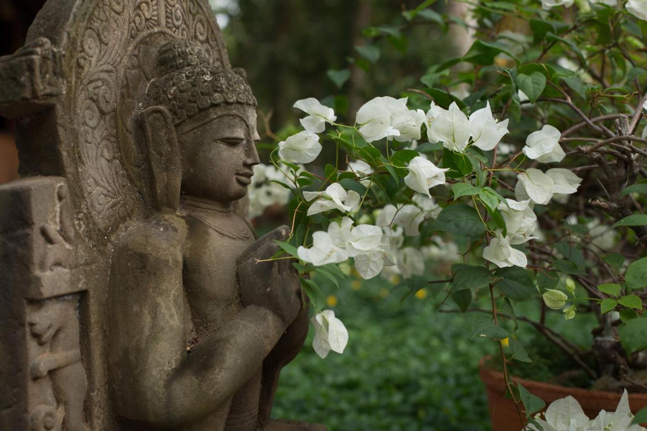 Soma Manaltheeram Ayurveda Beachvillage Kovalam Eksteriør billede